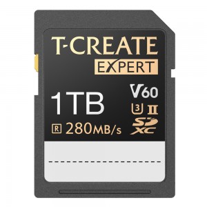 EXPERT SDXC UHS-II V60 1Tb